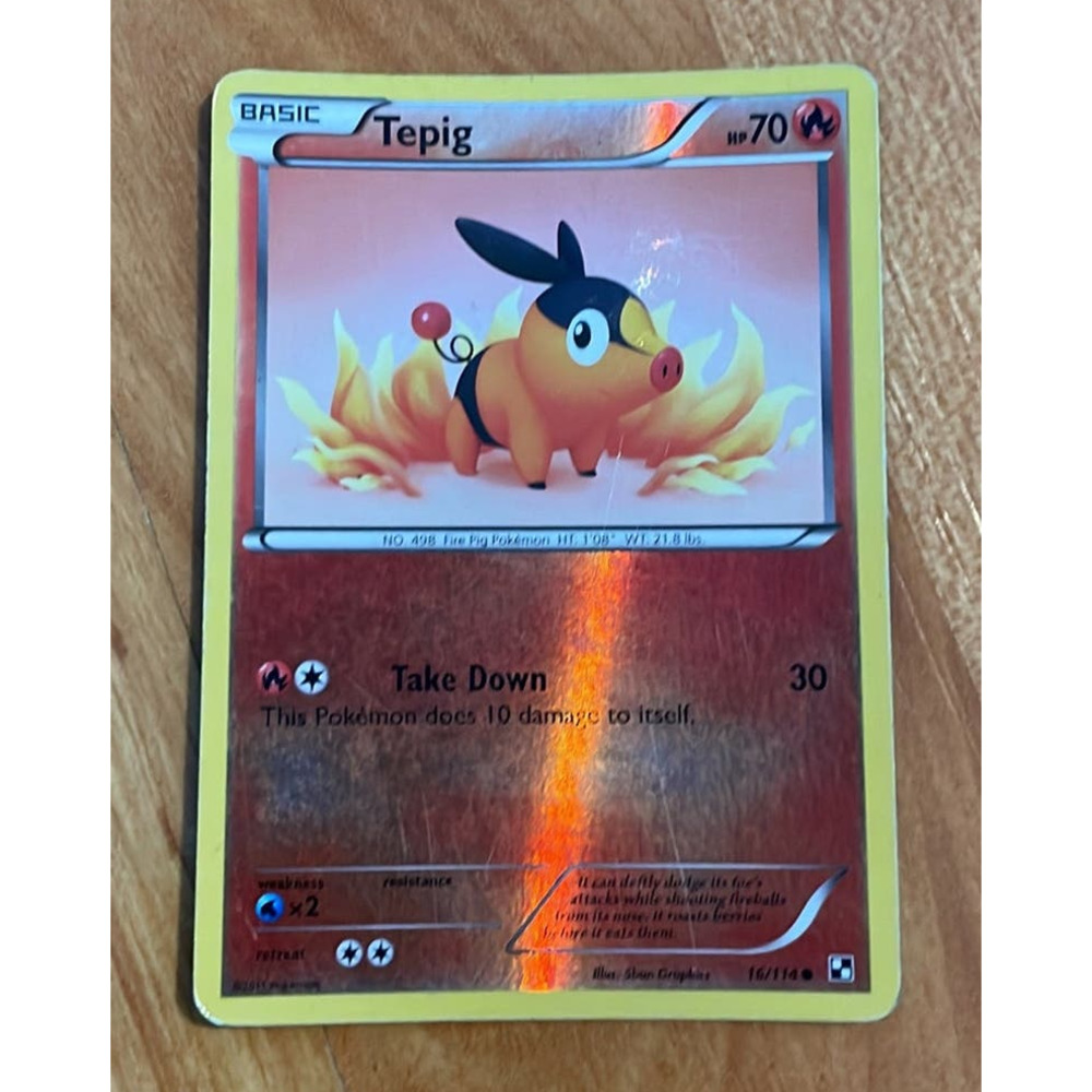 Holographic Tepig Pokémon‎ Card